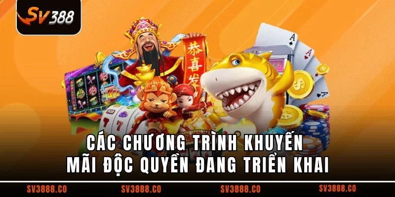 Các chương trình khuyến mãi độc quyền đang triển khai