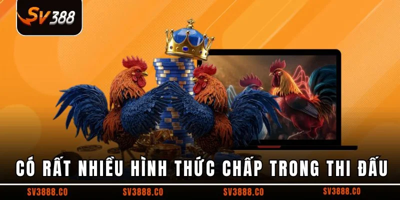 Có rất nhiều hình thức chấp trong thi đấu
