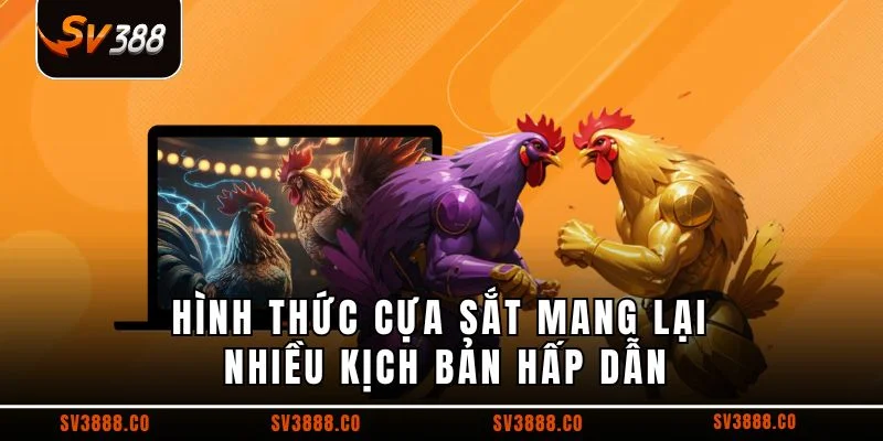 Hình thức cựa sắt mang lại nhiều kịch bản hấp dẫn