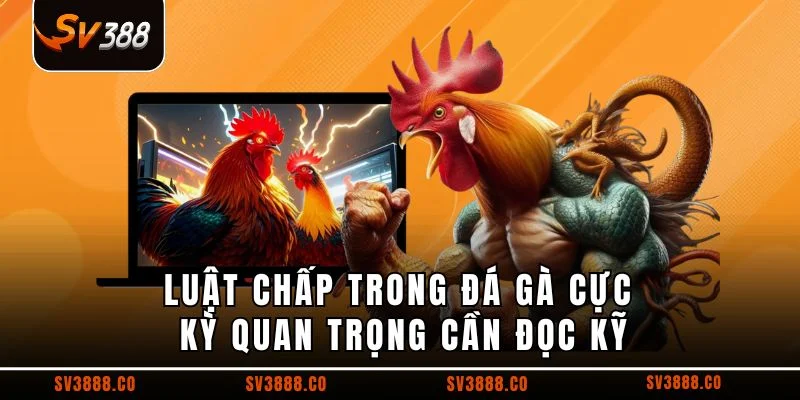 Luật chấp trong đá gà cực kỳ quan trọng cần đọc kỹ