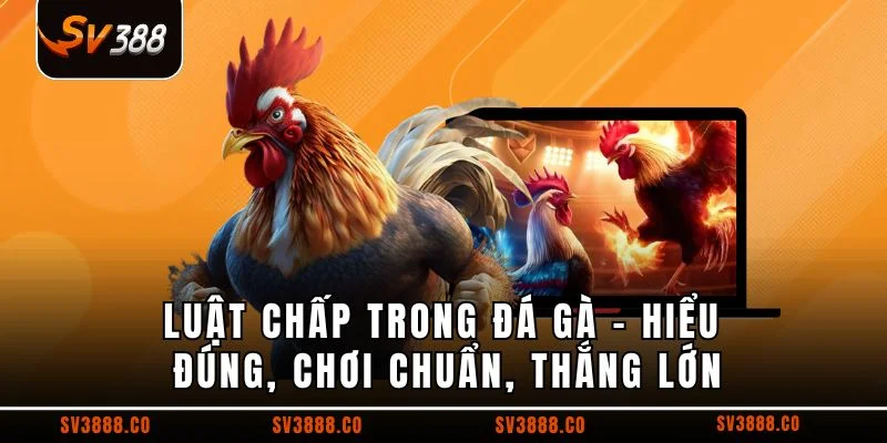 Luật chấp trong đá gà