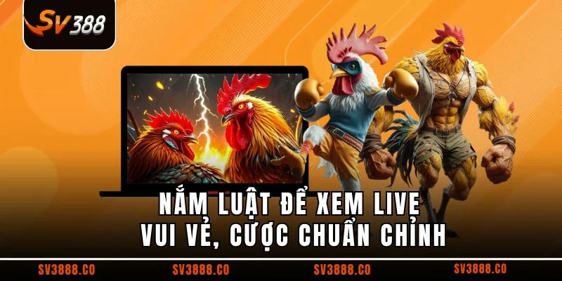 Nắm luật để xem live vui vẻ, cược chuẩn chỉnh