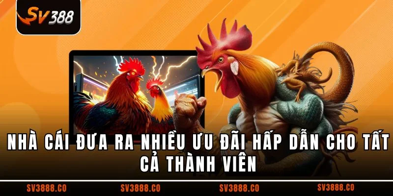 Nhà cái đưa ra nhiều ưu đãi hấp dẫn cho tất cả thành viên